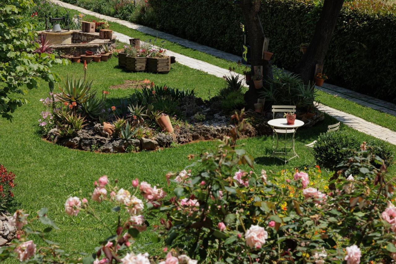 Apartament Homely 2bd In Dassia